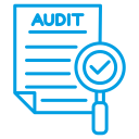 audit